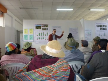 Conversación con la comunidad sobre ensayo de opciones promisorios 2 de pasto en Colpar, Peru